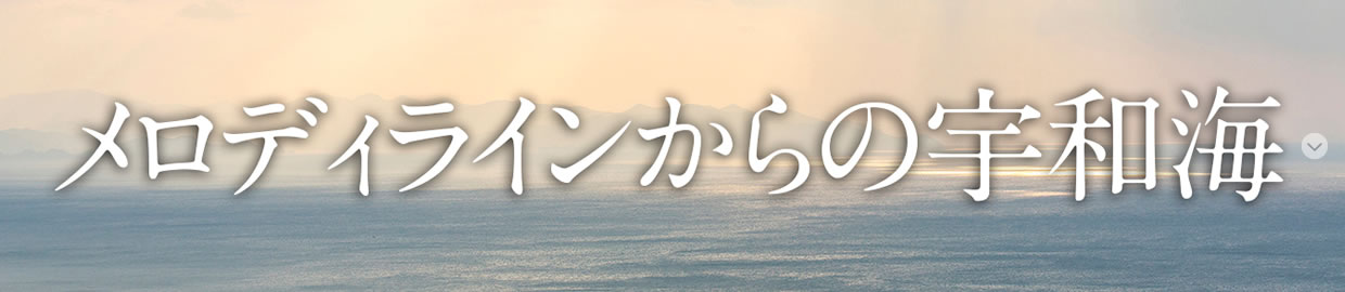 佐田岬メロディラインから見る宇和海